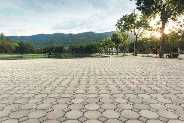 Best Driveway Pavers Near Me  in Pleasant Hill, MS