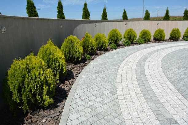 Reasons to Select Us for Your Driveway Paving Requirements in Pleasant Hill, MS